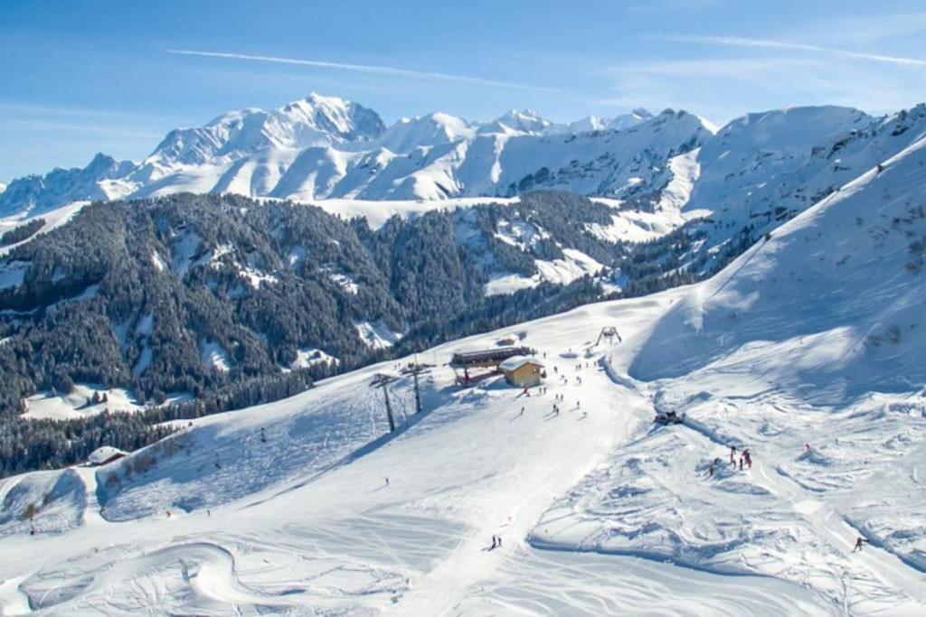 Superbe Studio, Praz-Sur-Arly Exterior photo